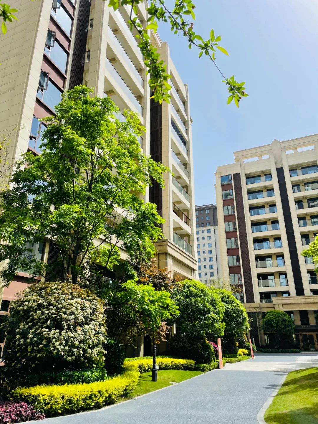 隆腾锦天府一期将于4月24日提前交房