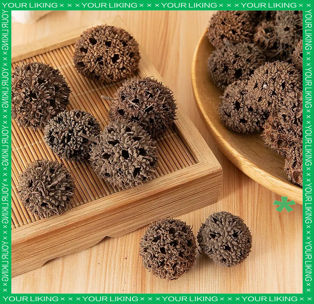 路路通:中医药中的"通经活络"之选