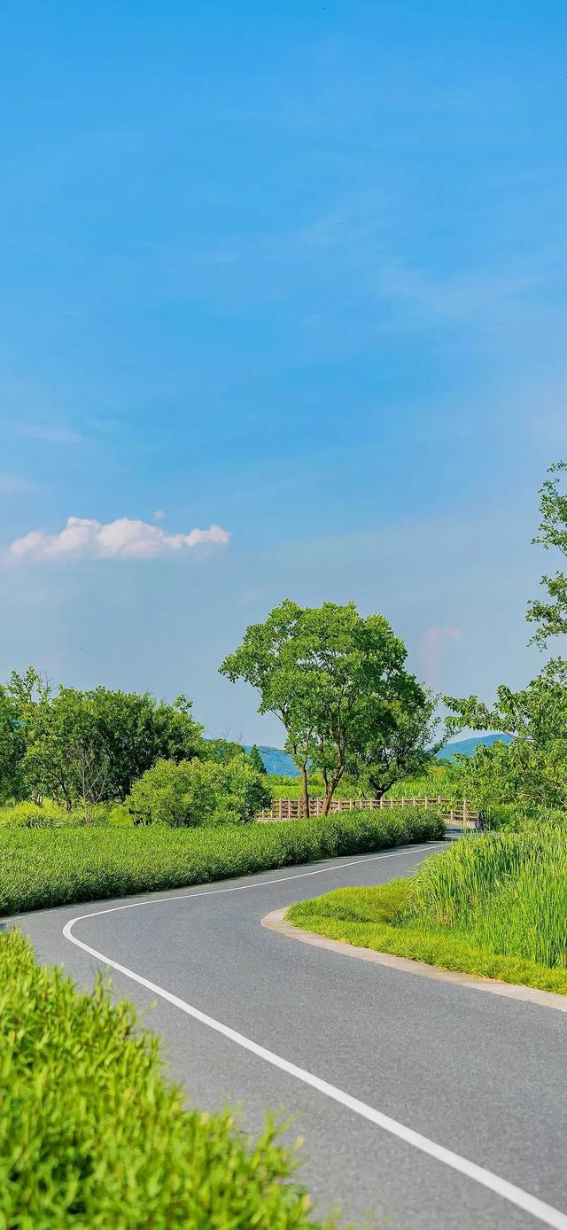 壁纸风景田园竖屏图片