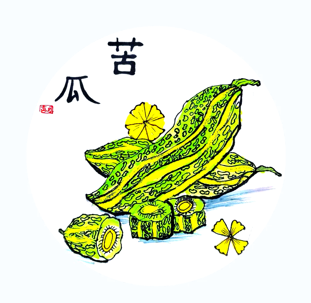 探索苦瓜魅力:外观,苦味与艺术表现