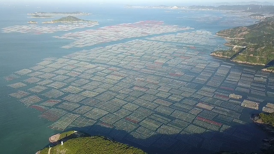 福州连江县下宫镇松芦湾海上党支部:用好聚宝盆,走上鲍富路