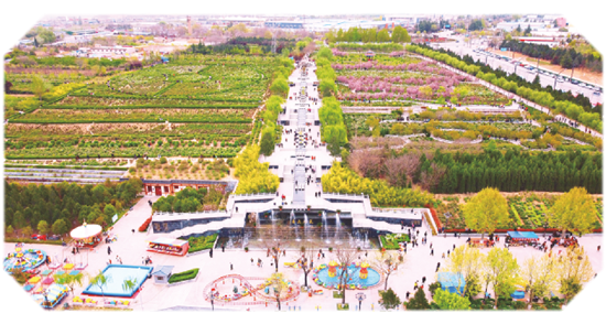 假期,到铜川牡丹园赏花游玩