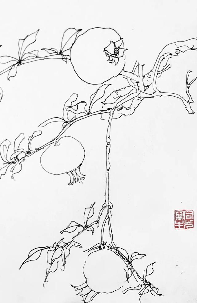石榴树的简笔画儿童画图片