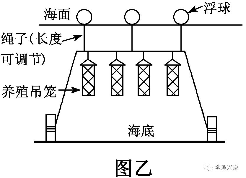高考地理小专题——插柱式和浮筏式养殖