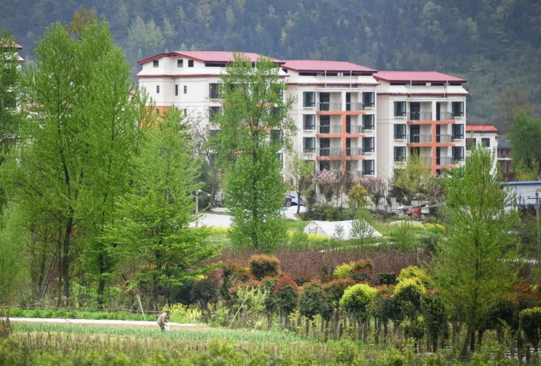 走进桐梓县九坝镇,这里植被茂盛,空气凉爽清新,层层云雾笼罩,因此它