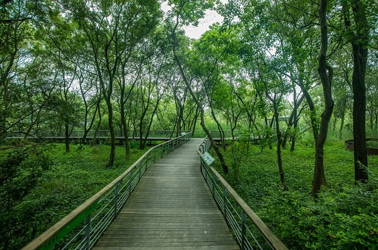 夏日秘境|江洋畈生态公园