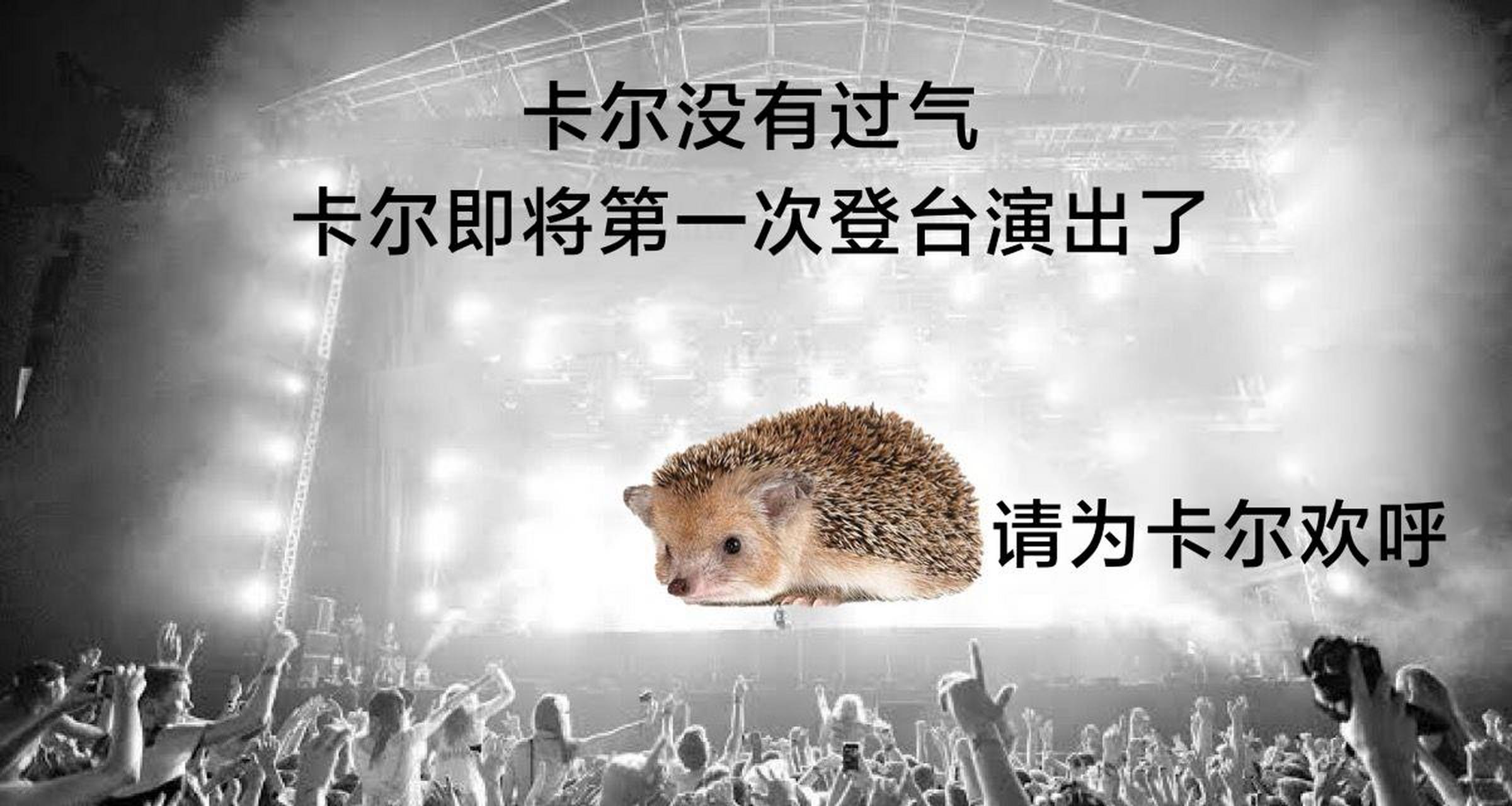 『刺猬』 卡尔,好久不见.