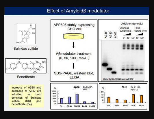 简要介绍|β-淀粉样蛋白(1-38)/β-amyloid(1-38)|的相关信息