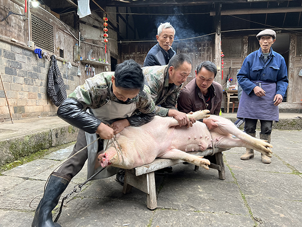 四川绵阳女杀猪匠图片