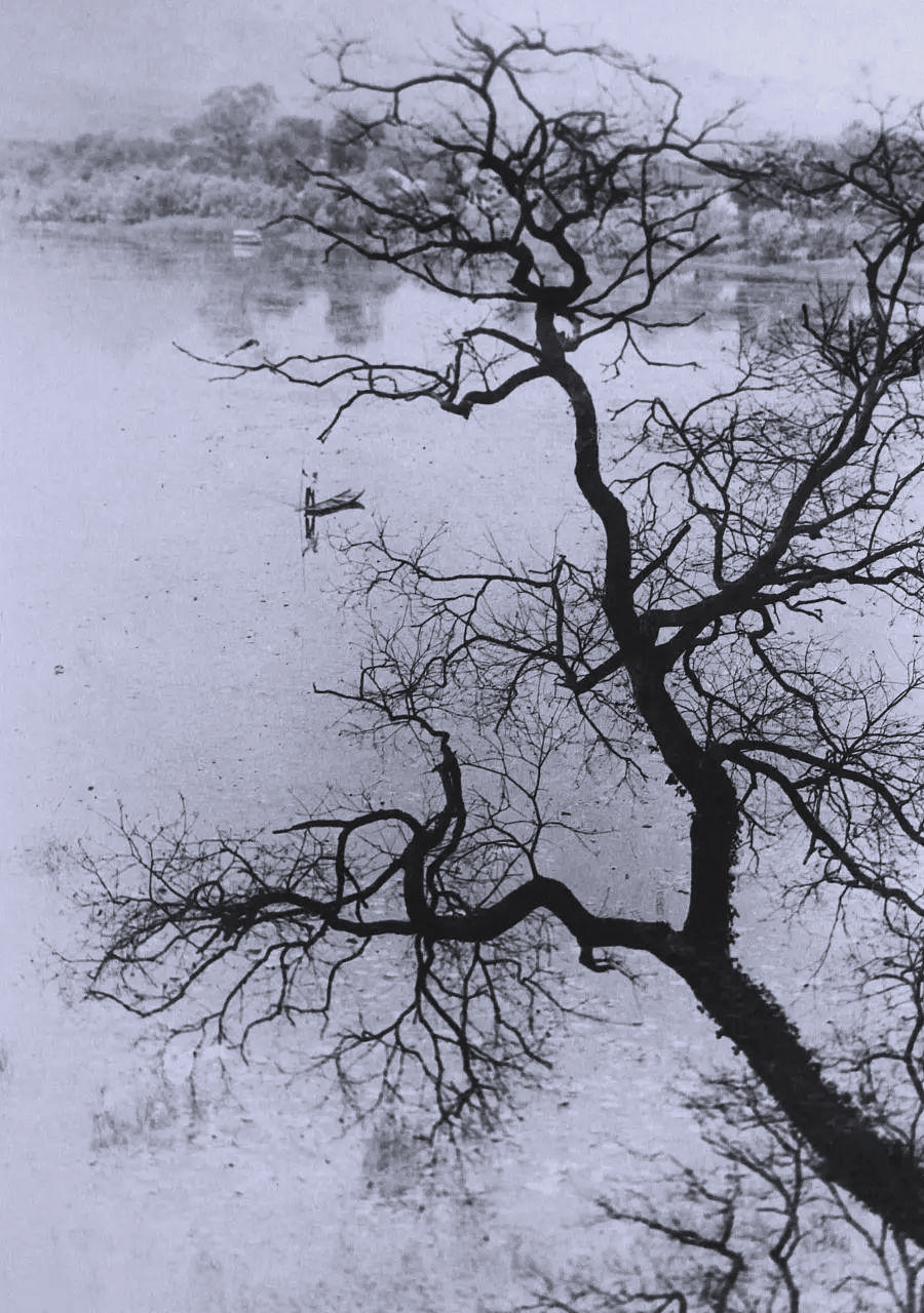 摄影大师郎静山:将照片拍成水墨画,美不胜收!