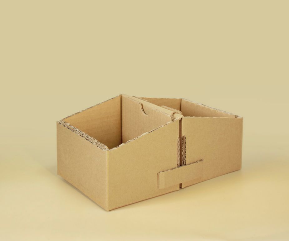 宝山样板 绿色先锋|上海澄穆:践行绿色环保计划,助力绿色低碳生活新