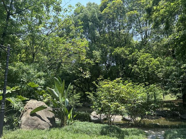 话"双圈" 看发展⑧4根头发丝 刻下630字《琵琶行》