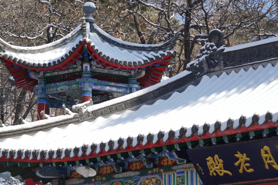 【美丽鞍山】最美千山雪