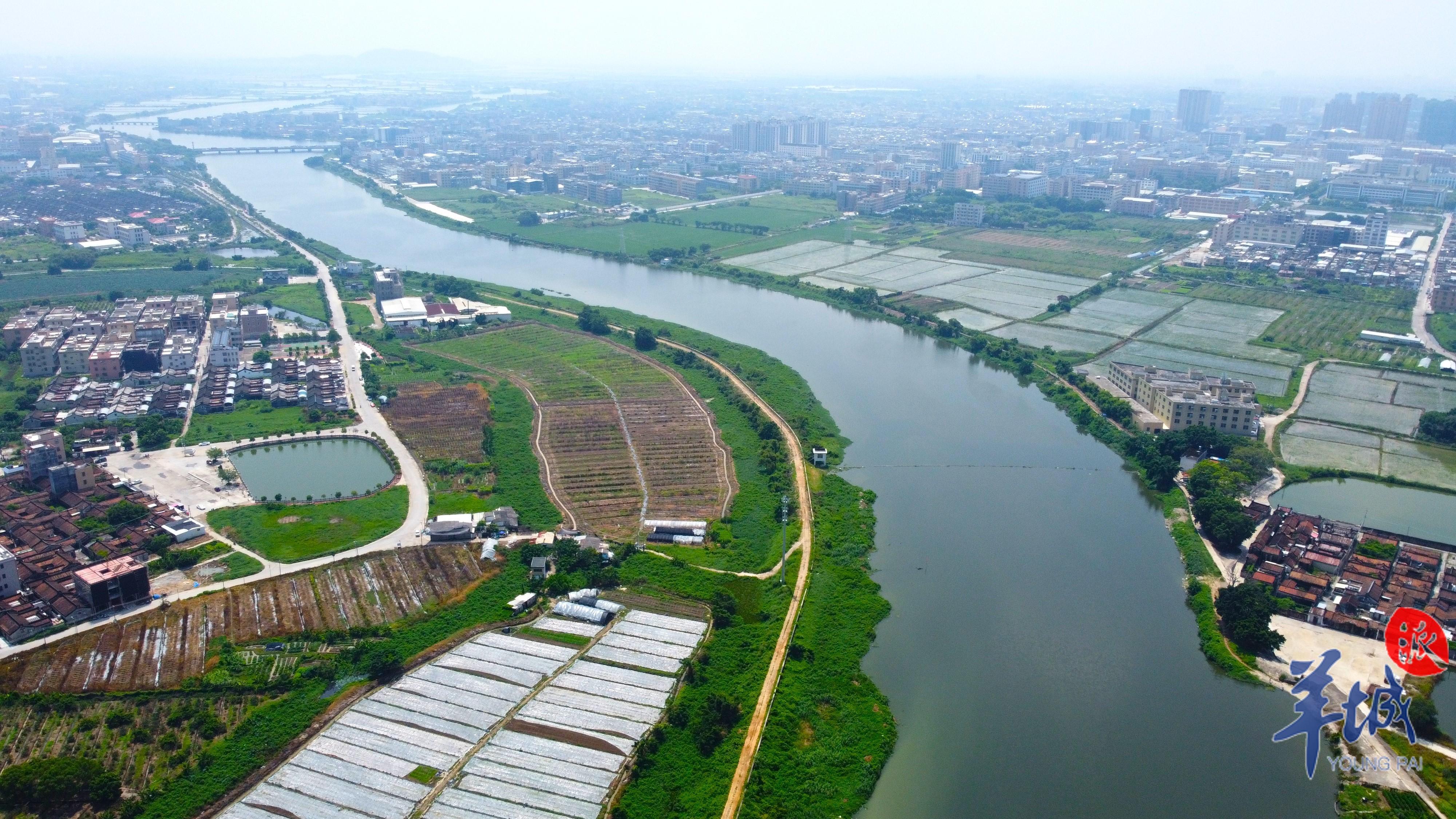 「视频」练江汕头段:曾经的"污染典型" 蝶变为"治污典范"丨绿美广东