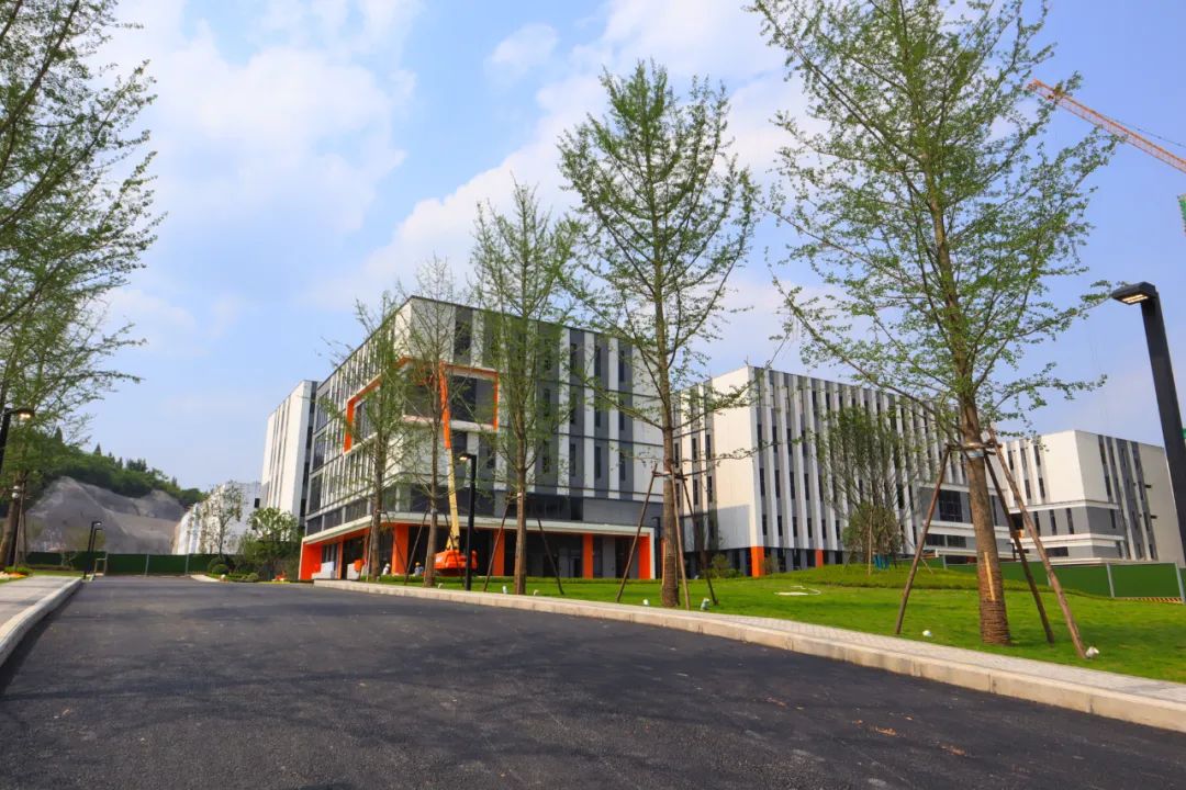 点军区江南科创园项目建设跑出"加速度"