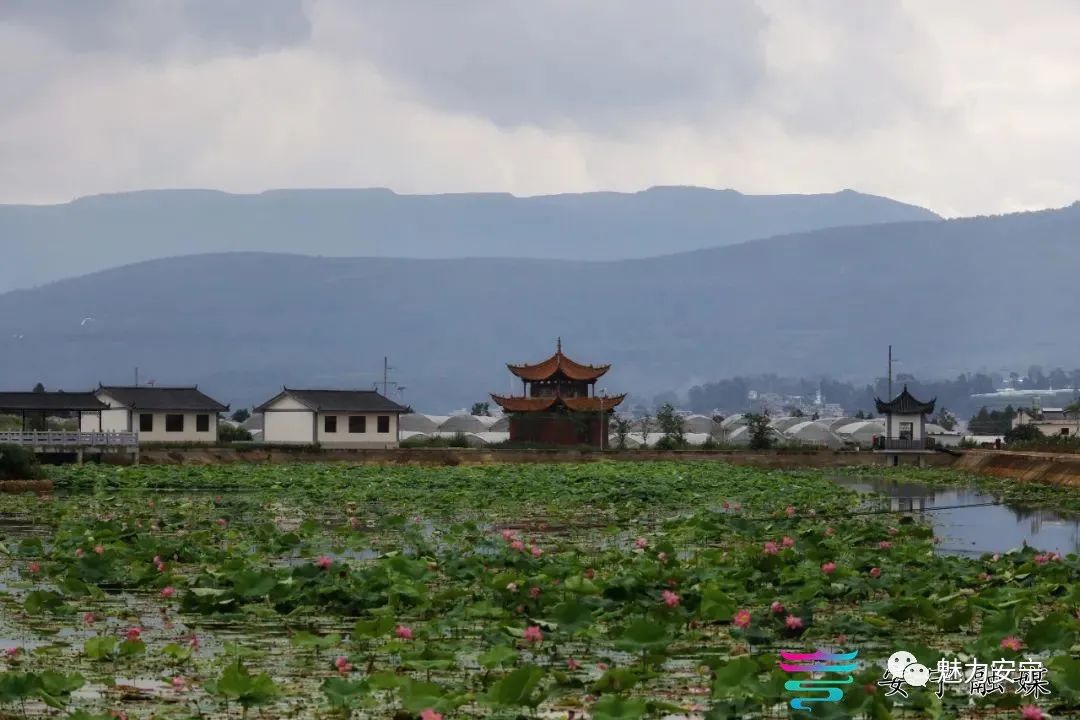 「乡村振兴」安宁八街摩所营乡村集市旧貌换新颜,振兴发展添新景