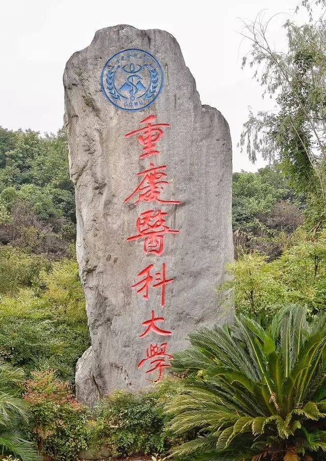 重庆医科大学录取位次在四川16000名,相比于去年涨9000名