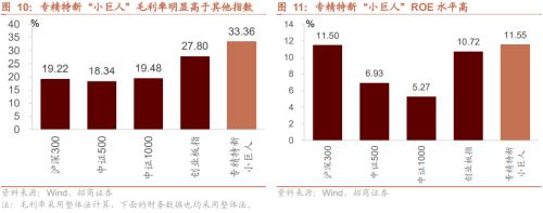 【招商策略】专精特新“小巨人”是什么、怎么样、如何选——中国优势制造投资框架报告之四