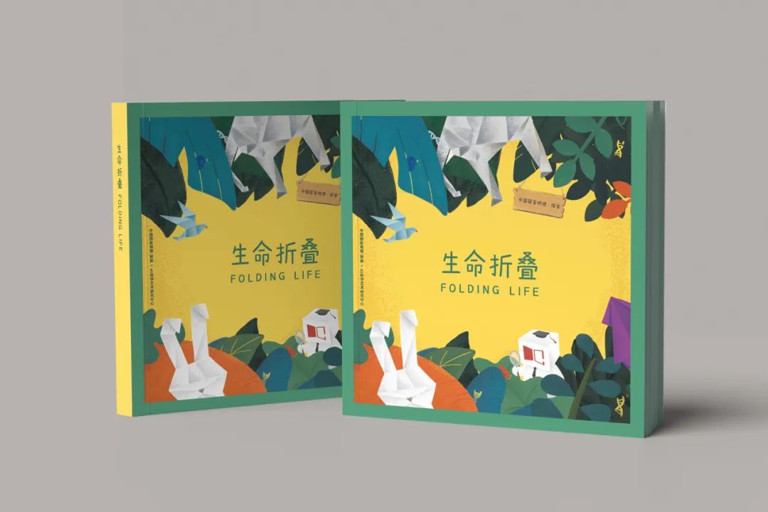 极致发现用一场展览讲述科学艺术与探索