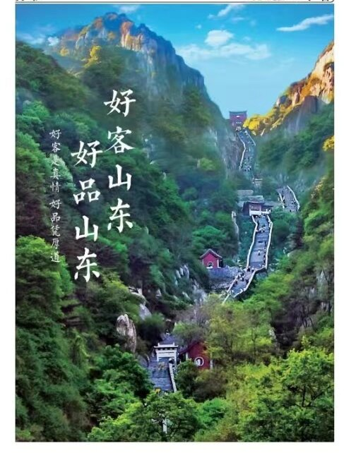 望岳谈丨"好客山东 山东好品":北方战略支点的共赢力量