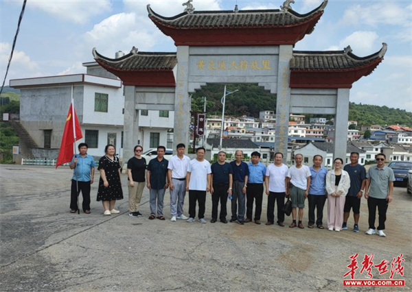 桂阳县莲塘镇光明中心学校开展主题党日活动