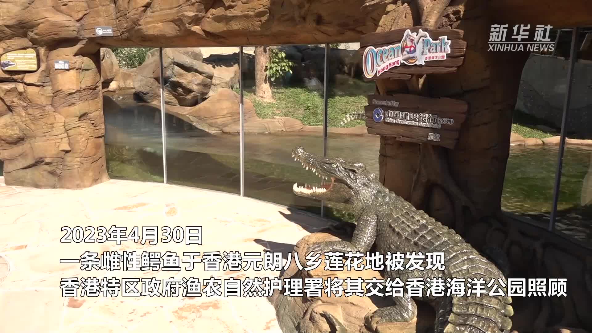 香港海洋公园"鳄园"开园