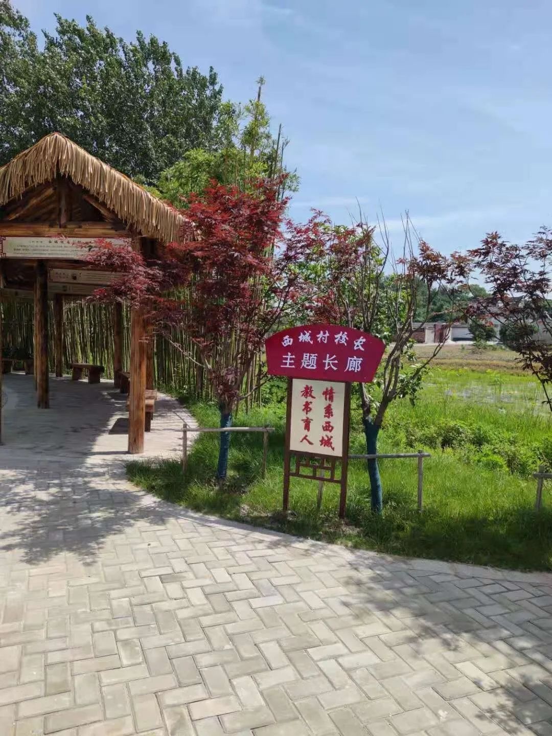 扬州市头桥镇西城村妇联:妇女带动,家家参与,共建"美丽家园"