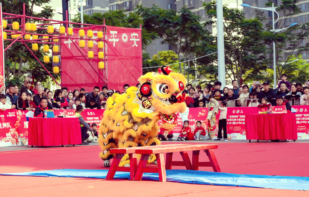 厦门龙狮争霸赛 福建广东广西精英齐聚同安