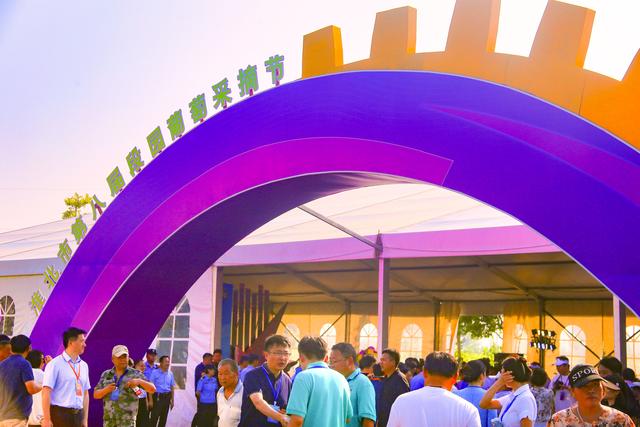 安徽淮北:段园镇第八届葡萄采摘节开幕