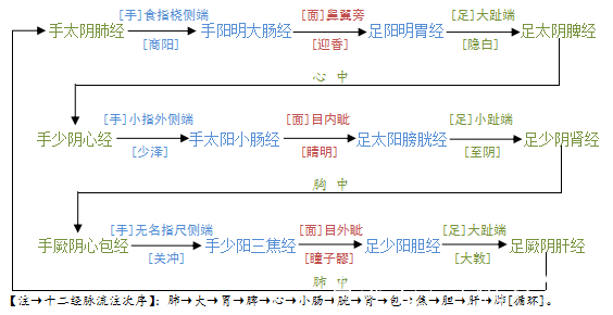 人體的十二經脈循行走向與交接規律,你都能記住嗎?一起學習吧