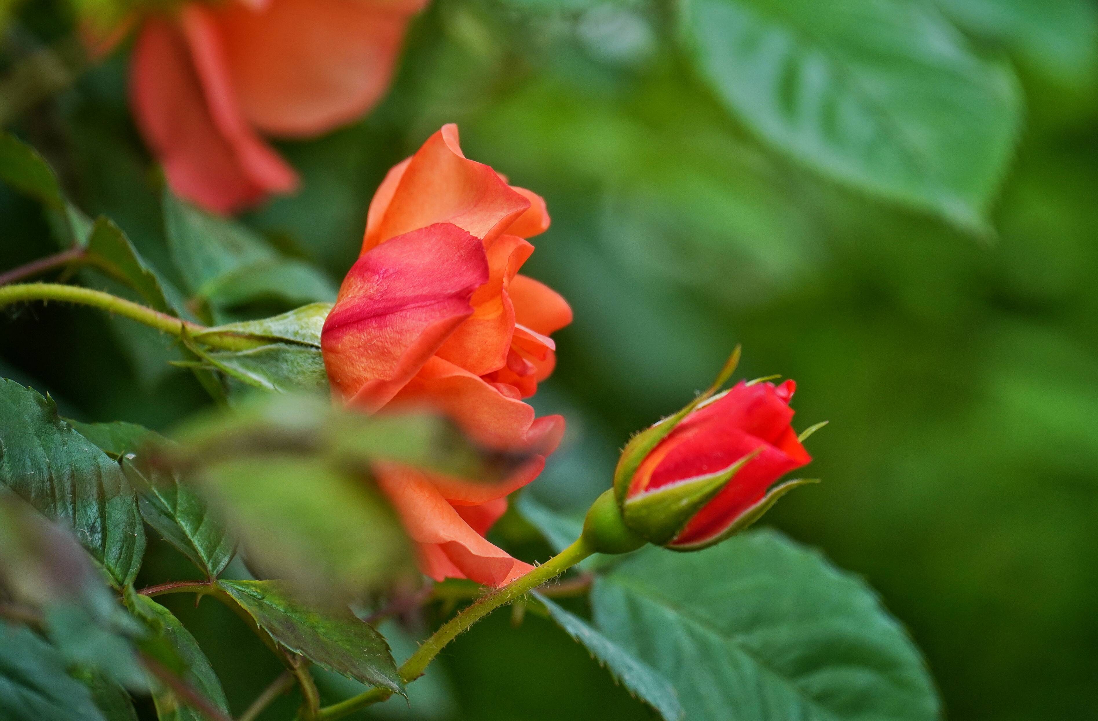 「组图」济南汉峪金谷