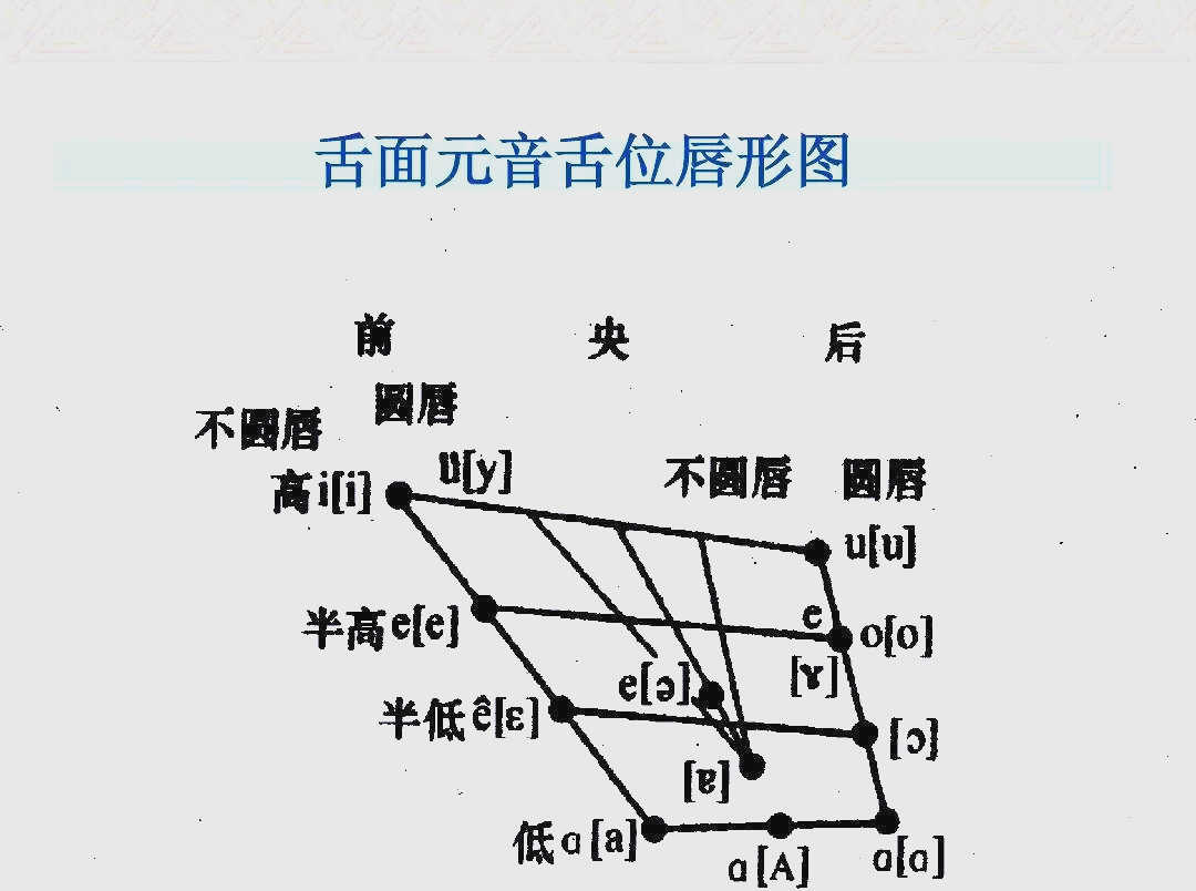 解析舌面元音舌位图与发音技巧的练习方法