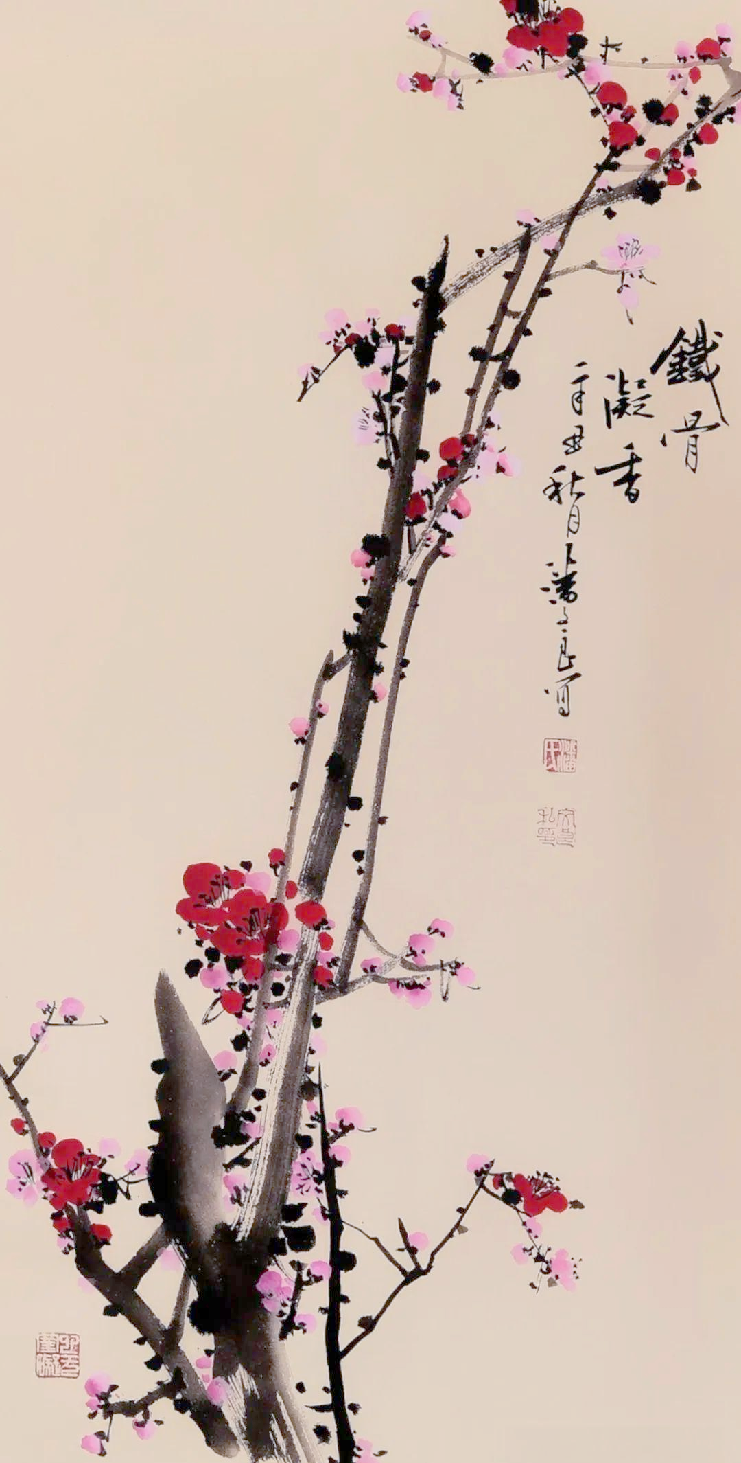 多幅精品写意梅花,展现寒香疏影与坚韧品质