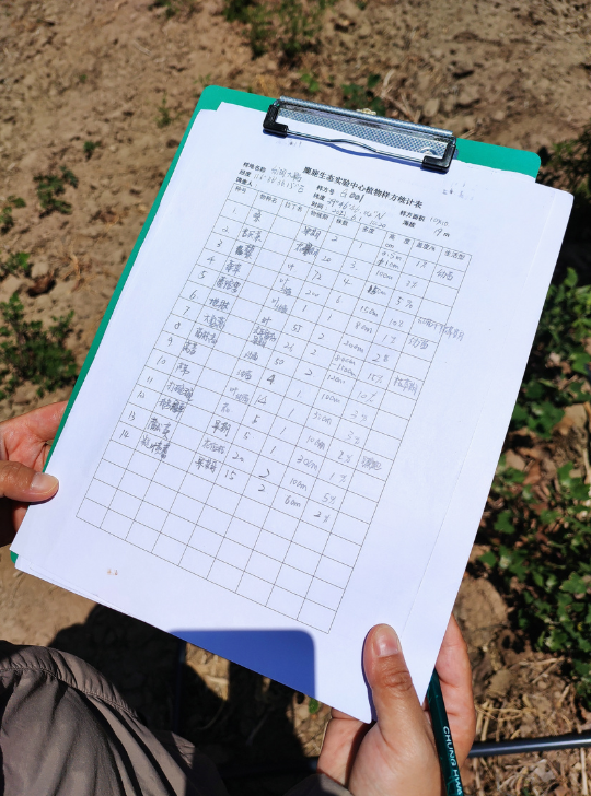 绿头鸭妈妈怎么带孩子遛弯儿?调查员这样摸清生物家底