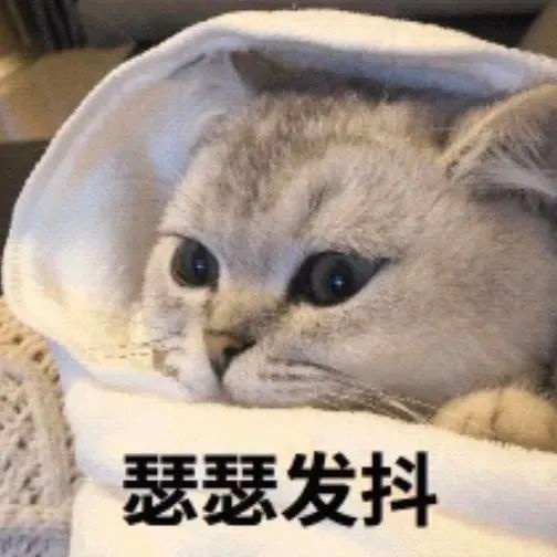 江西天气接下来