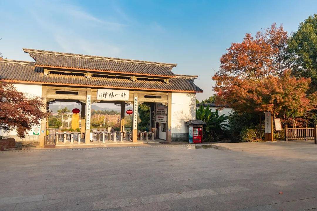 小隆中景区探寻摩崖石刻 穹窿山草本馆探究中草药秘密!