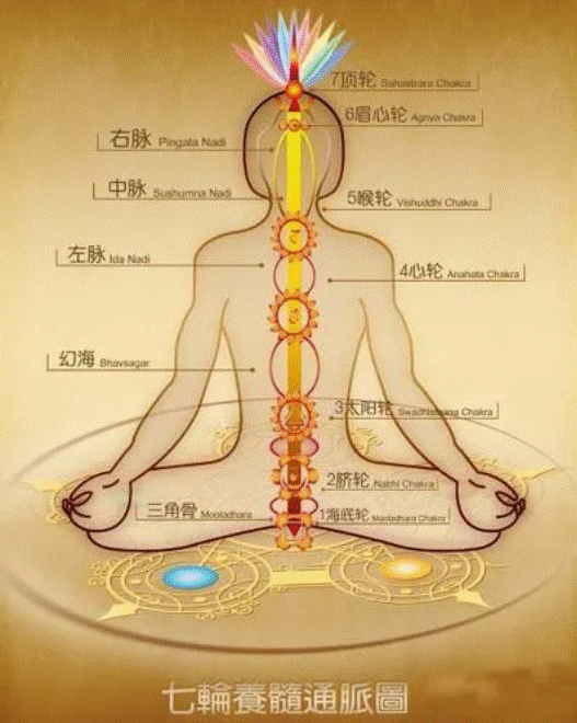 道教把这个位置称之为泥丸或泥丸宫,宋代道人白玉蟾所作的《紫清指