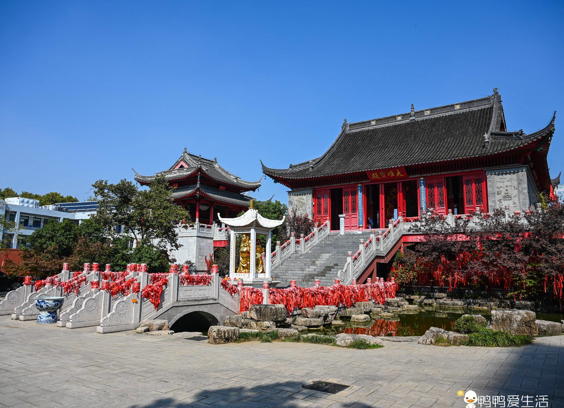 毗卢寺:昔日南京第一大寺,院内有8.8米观音大佛,秋天美成了画