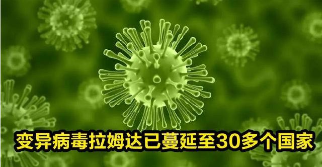 从南美到欧洲,多地报告的新冠变异病毒拉姆达毒株有何特点