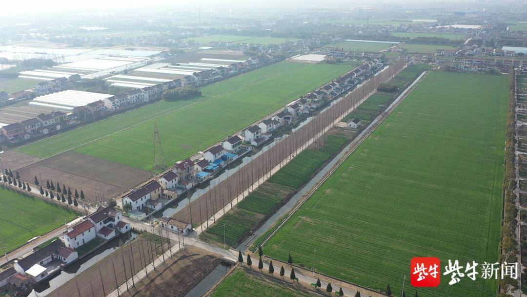 张家港市冶金园(锦丰镇)建设村:"红色引擎"推动乡村面貌"蝶变"