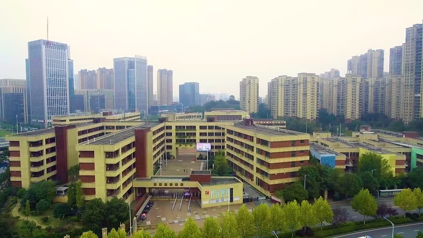长沙高新区明德麓谷学校:从课程出发,让中医药文化育人体系更多元