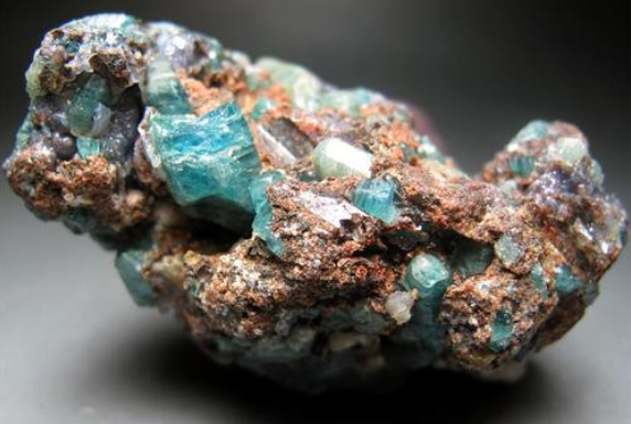 鸟粪能产宝石?真是无奇不有!