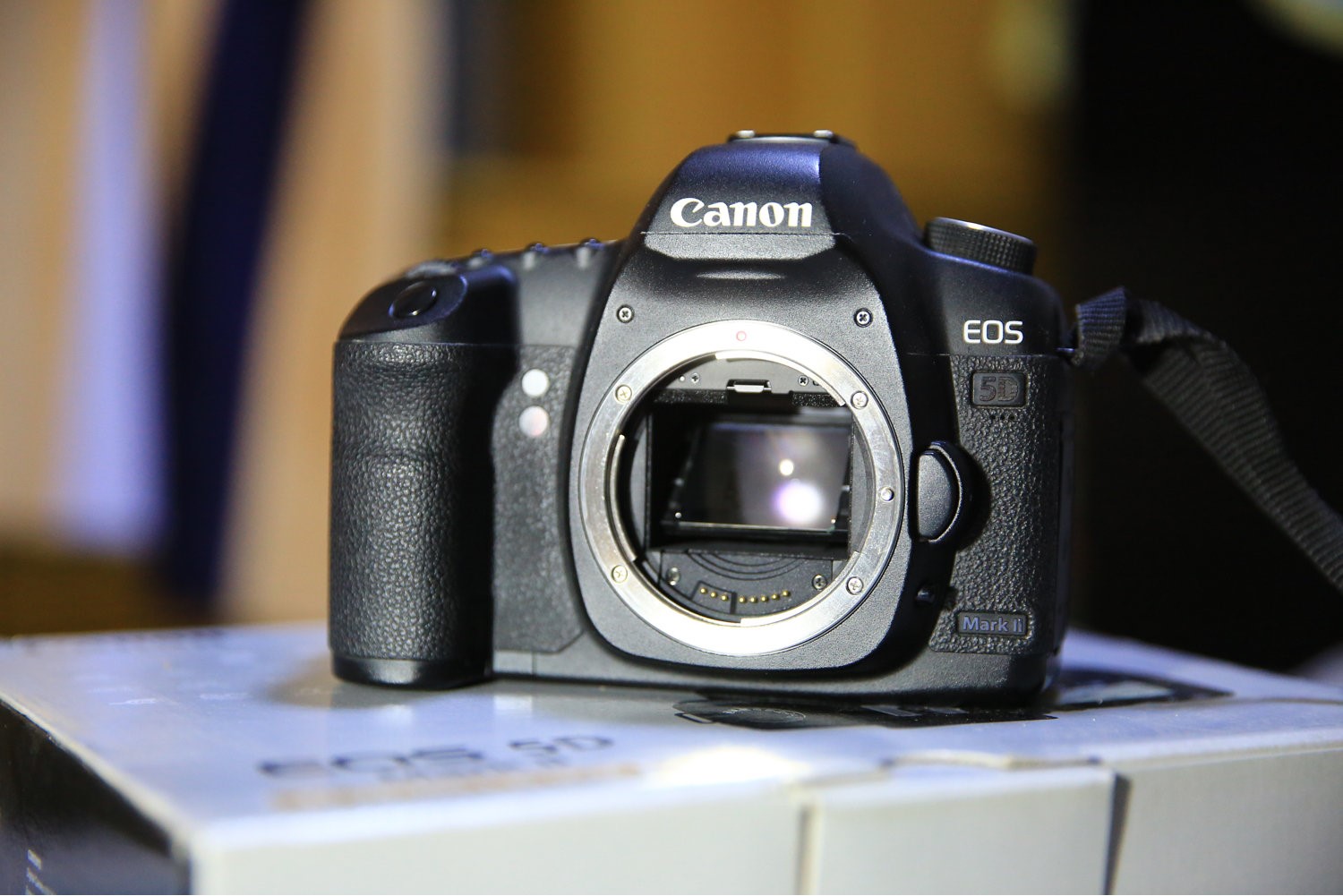 佳能eos 5d mark ii:革命性的全画幅神机