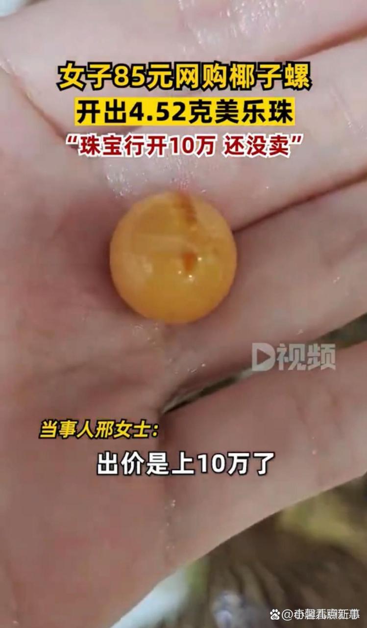 女子85元买椰子螺开出4.52克美乐珠,珠宝行开10万还没卖.