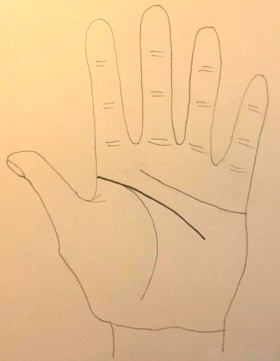 智慧线,起于手掌桡侧,位于食指与拇指之间的虎口处,其形态头粗尾细