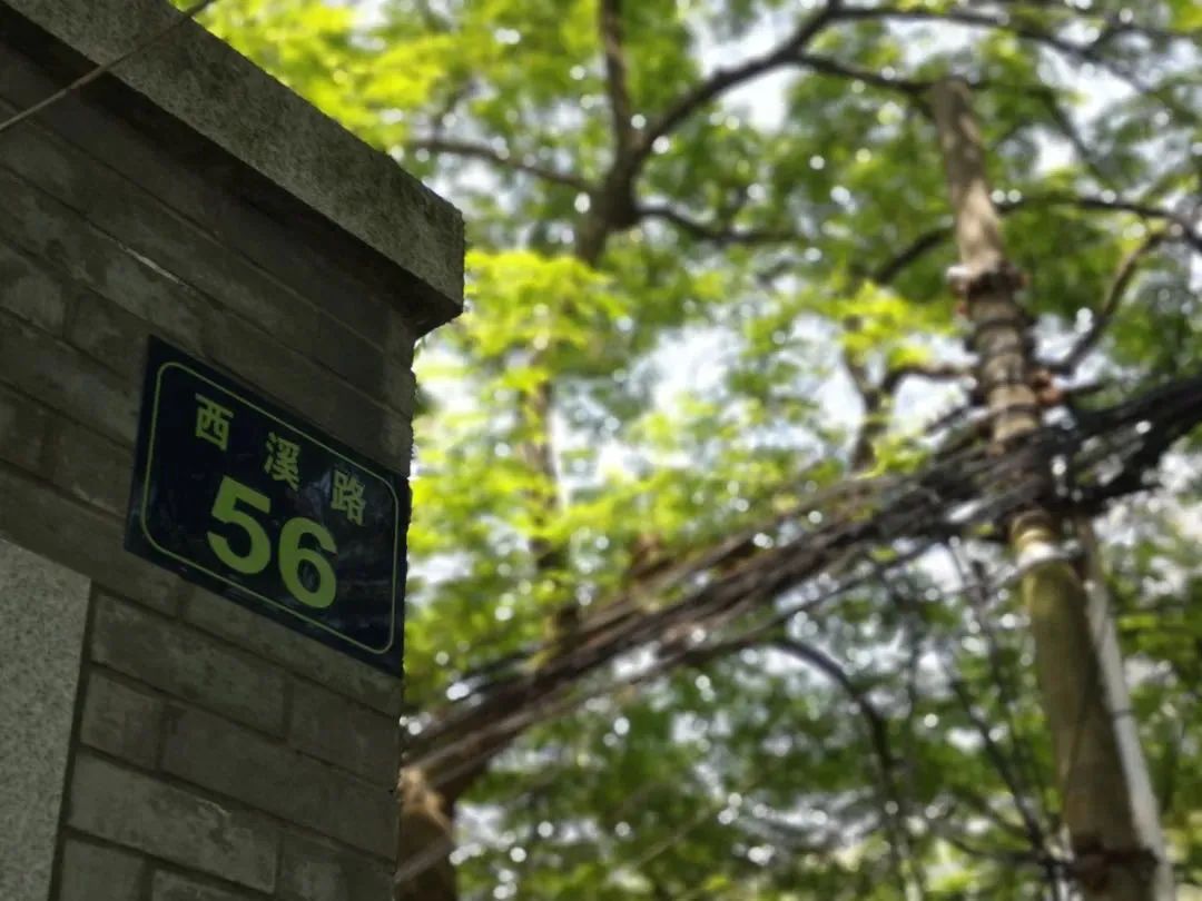 杭大新村:群星闪耀的西溪路56号