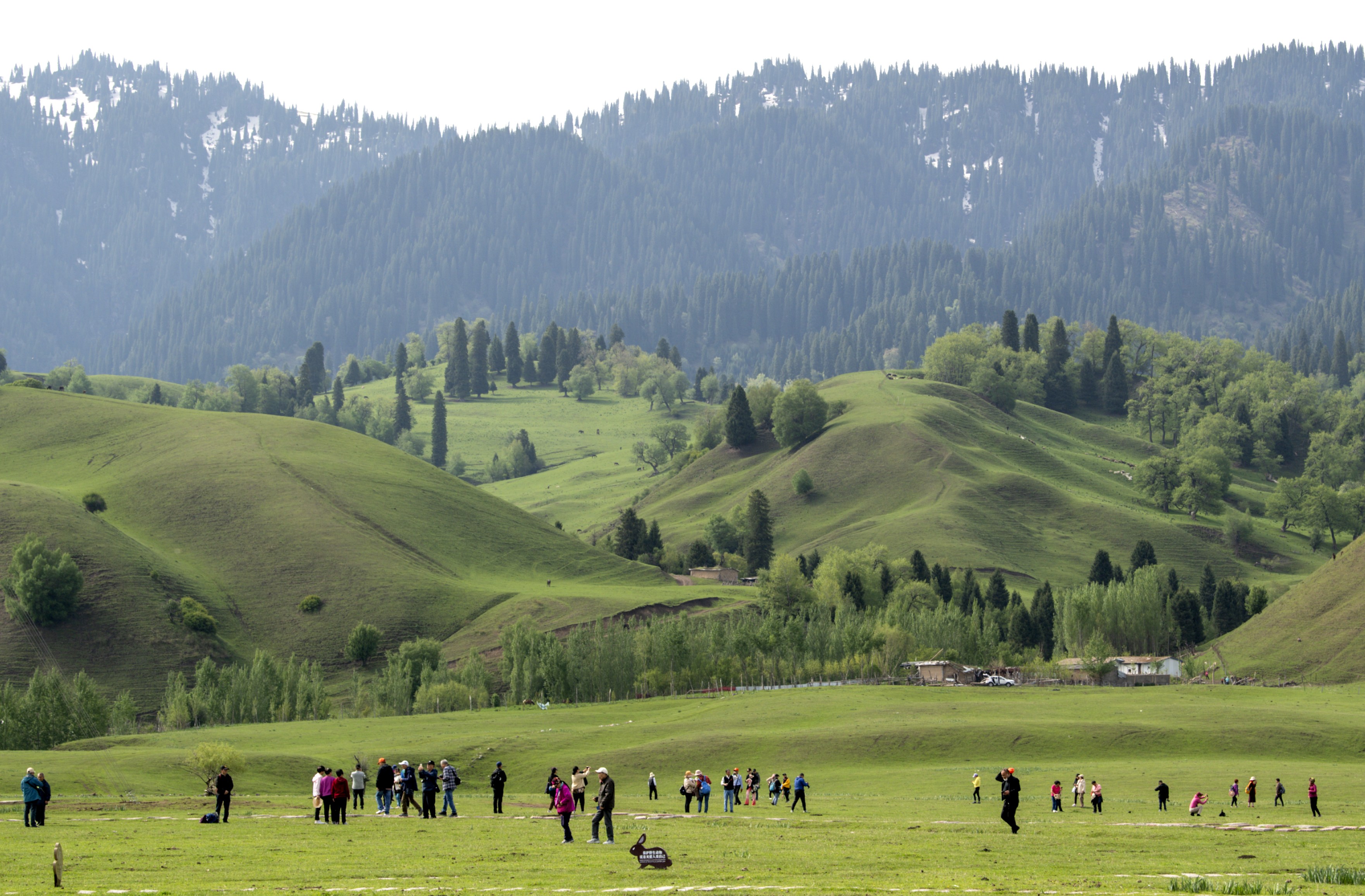 (社会)新疆那拉提草原美景引游人