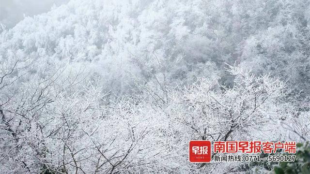 乐业雪景图片