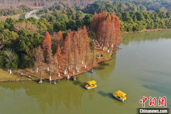 江西南昌天气晴好 市民游湿地公园乐享元旦假期