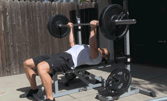 杠铃平板卧推的动作姿势